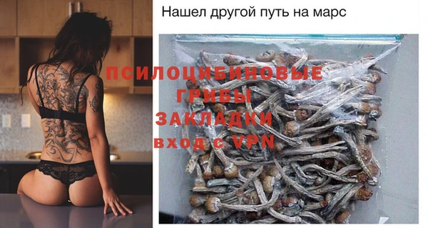 ALPHA PVP Белокуриха