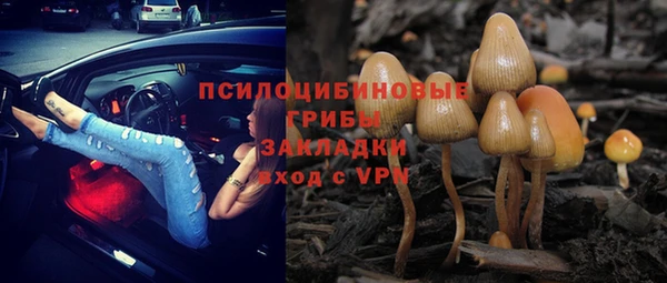 ALPHA PVP Белокуриха